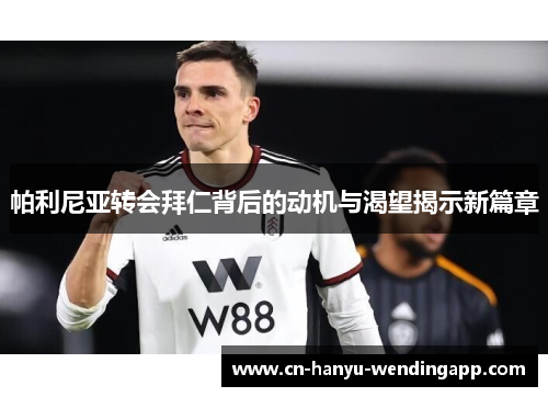 帕利尼亚转会拜仁背后的动机与渴望揭示新篇章