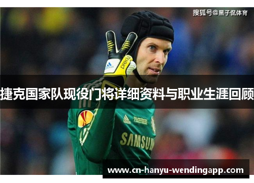 捷克国家队现役门将详细资料与职业生涯回顾