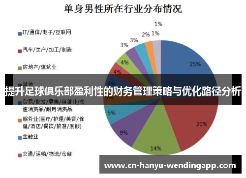 提升足球俱乐部盈利性的财务管理策略与优化路径分析