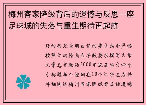梅州客家降级背后的遗憾与反思一座足球城的失落与重生期待再起航