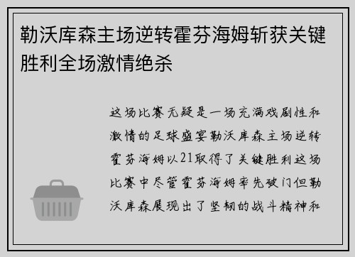 勒沃库森主场逆转霍芬海姆斩获关键胜利全场激情绝杀